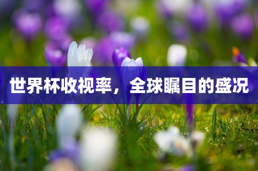 世界杯收视率,全球瞩目的盛况