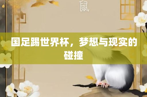 国足踢世界杯，梦想与现实的碰撞