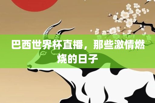 巴西世界杯直播，那些激情燃烧的日子