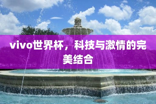 vivo世界杯,科技与激情的完美结合