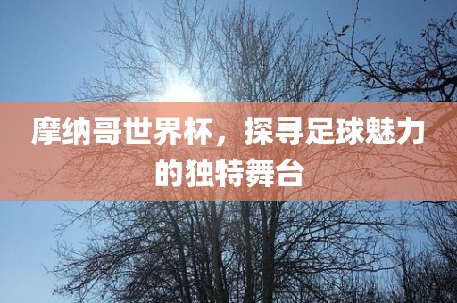摩纳哥世界永康市本千工贸有限公司杯,探寻足球魅力的独特舞台