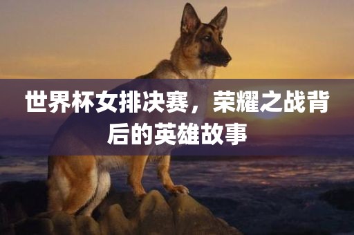 世界杯女排决赛，荣耀之战背后的英雄故事