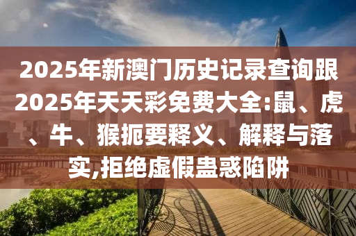 今年世界杯冠军的预测与探讨,谁将成为最后的王者?