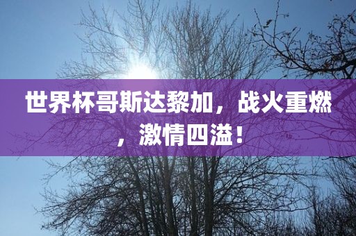 世界杯哥斯达黎加,战火重燃,激情四溢!