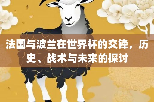 法国与波兰在世界杯的交锋,历史、战术与未来的探讨永康市本千工贸有限公司