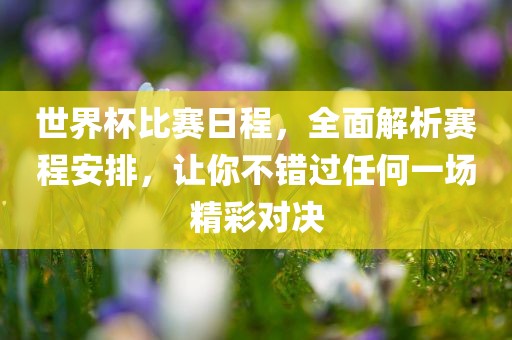 世界杯比赛日程，全面解析赛程安排，让你不错过任何一场精彩对决