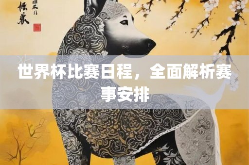 世界杯比赛日程，全面解析赛事安排