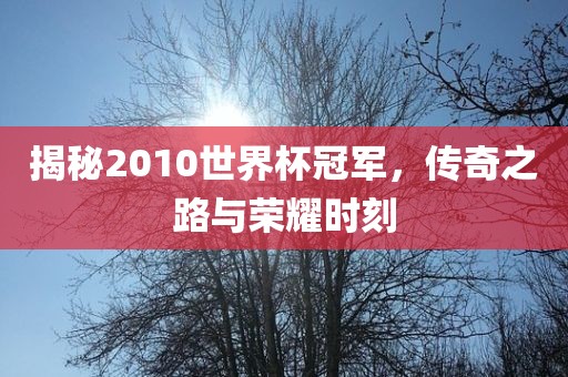 揭秘2010世界杯冠军,传奇之路与荣耀时刻