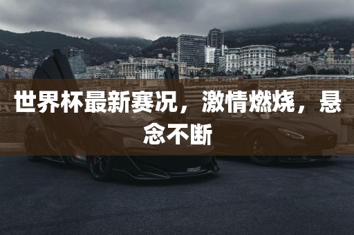 世界杯最新赛况永康市本千工贸有限公司，激情燃烧，悬念不断