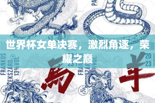 世界杯女单决赛,激烈角逐,荣耀之巅