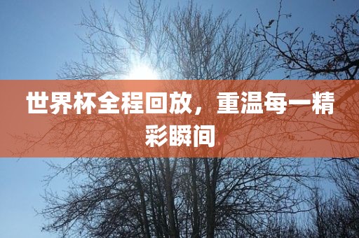 世界杯全程回放,重温每一精彩瞬间