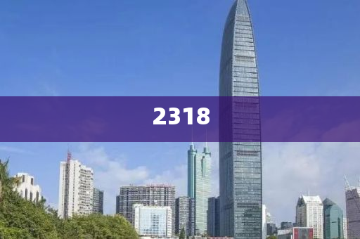 美国足球世界杯，历史、精彩瞬间与未来展望