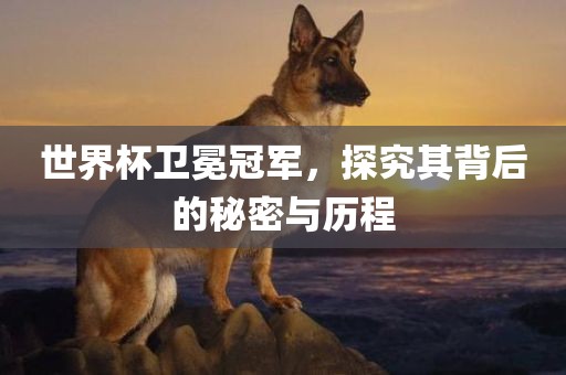 世界杯卫冕冠军,探究其背后的秘密与历程永康市本千工贸有限公司