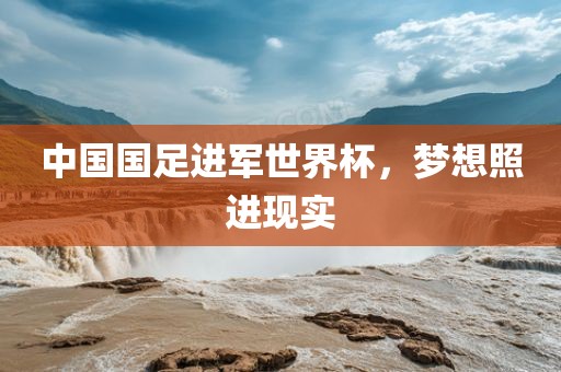 中国国足进军世界杯，梦想照进现实永康市本千工贸有限公司