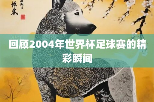 回顾2004年世界杯足球赛的精彩瞬间永康市本千工贸有限公司