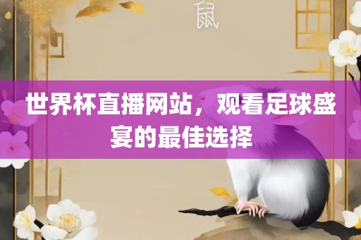 世界杯直播网站，观看足球盛宴的最佳选择