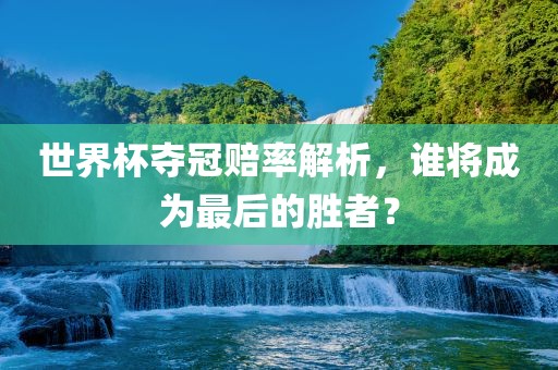 世界杯夺冠赔率解析,谁将成为最后的胜者?