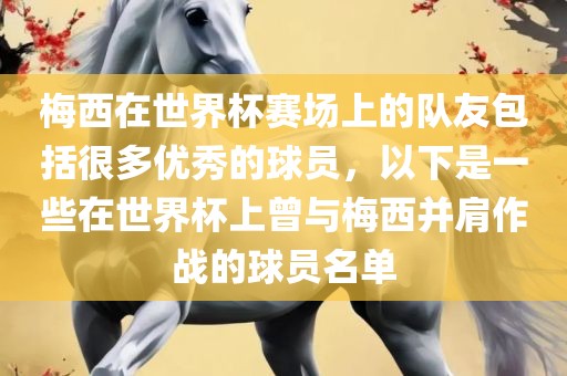 梅西在世界杯赛场上的队友包括很多优秀的球员，以下是一些在世界杯上曾与梅西并肩作战的球员名单