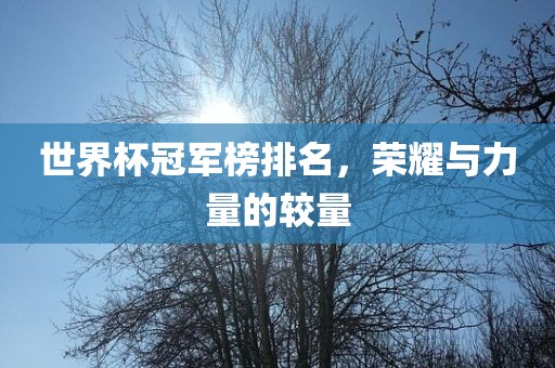 世界杯冠军榜排名,荣耀与力量的较量