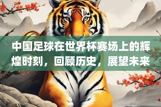 中国足球在世界杯赛场上的辉煌时刻,回顾历史,展望未来