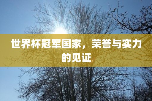 世界杯冠军国家,荣誉与实力的见证永康市本千工贸有限公司