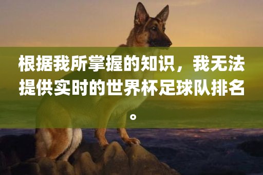 根据我所掌握的知识，我无法提供实时的世界杯足球队排名。