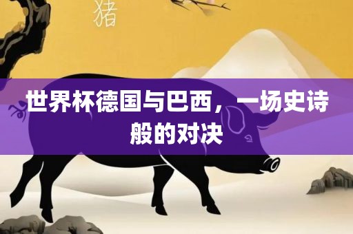 世界杯德国与巴西,一场史诗般的对决永康市本千工贸有限公司