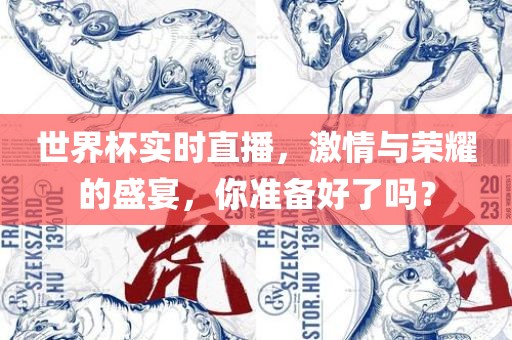 世界杯实时直播,激情与荣耀的盛宴,你准备好了吗?