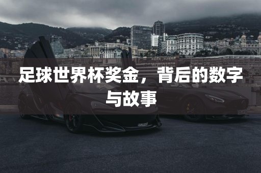 足球世界杯奖金,背后的数字与故事永康市本千工贸有限公司