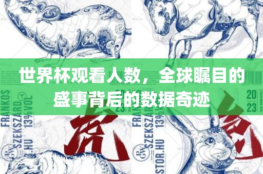 世界杯观看人数,全球瞩目的盛事背后的数据奇迹