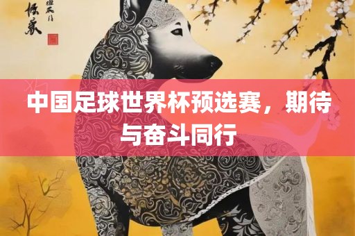 中国足球世界杯预选赛,期待与奋斗同行永康市本千工贸有限公司