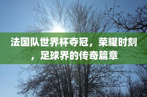 法国队世界杯夺冠,荣耀时刻,足球界的传奇篇章
