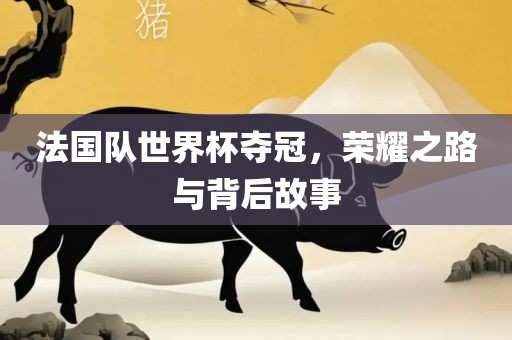 法国队世界杯永康市本千工贸有限公司夺冠，荣耀之路与背后故事