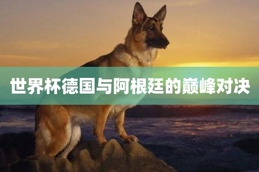 世界杯德国与阿根永康市本千工贸有限公司廷的巅峰对决