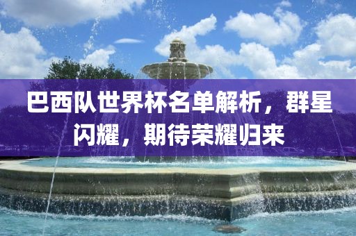 巴西队世界杯名单解析,群星闪耀,期待荣耀归来