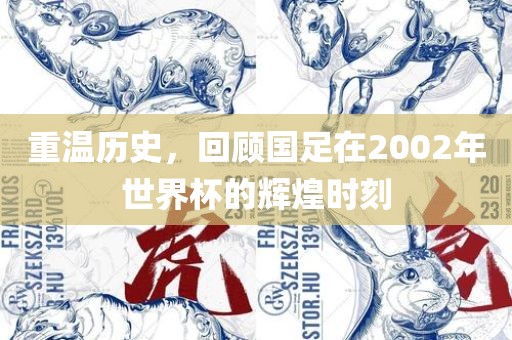 重温历史,回顾国足永康市本千工贸有限公司在2002年世界杯的辉煌时刻