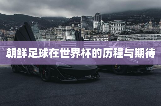 朝鲜足球在世界杯的历程与期待
