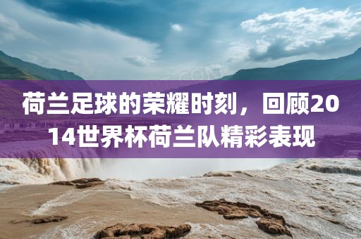 荷兰足球的荣耀时刻,回顾2014世界杯荷兰队精彩表现
