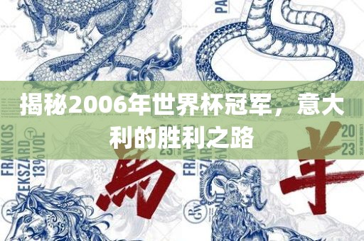 揭秘2006年世界杯冠军，意大利的胜利之路