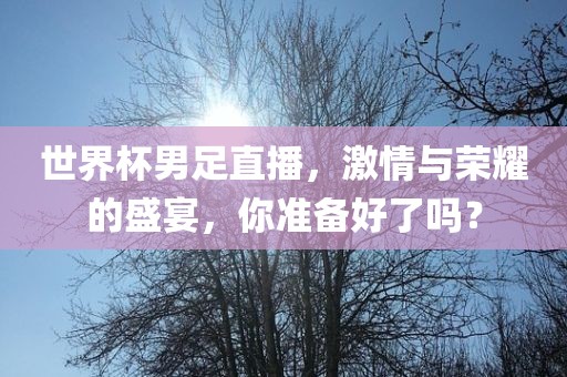 世界杯男足直播，激情与荣耀的盛宴，你准备好了吗？