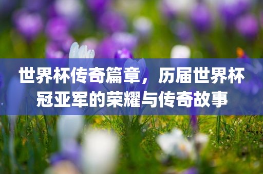 世界杯传奇篇章,历届世界杯冠亚军的荣耀与传奇故事永康市本千工贸有限公司