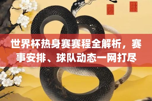 世界杯热身赛赛程全解析,赛事安排、球队动态一网打尽