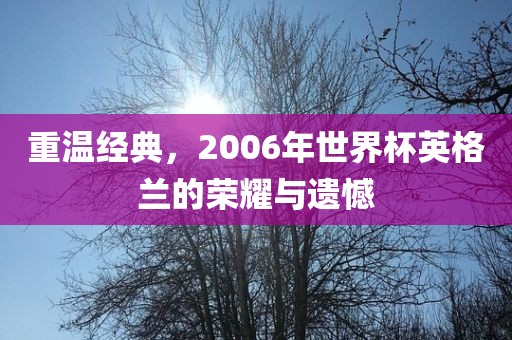重温经典，2006年世界杯英格兰的荣耀与遗憾