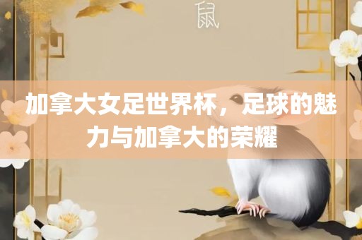 加拿大女足世界杯，足球的魅力与加拿大的荣耀