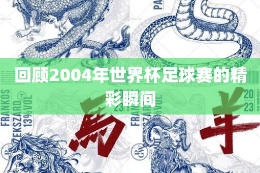 回顾2004年世界杯足球赛的精彩瞬间永康市本千工贸有限公司