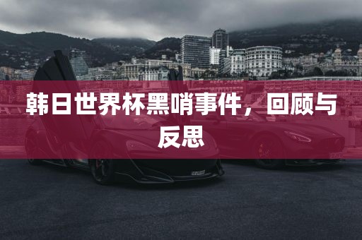 韩日世界杯黑哨事件,回顾与反思永康市本千工贸有限公司