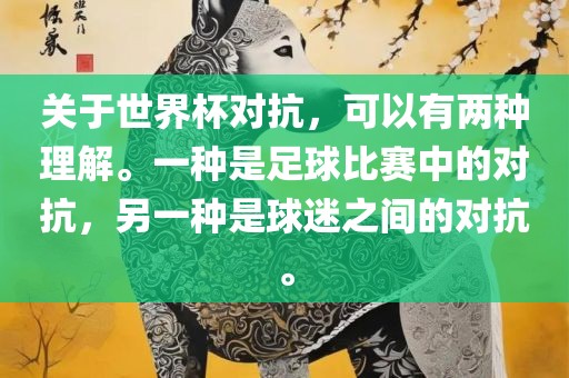 关于世界杯对抗,可以有两种理解。一种是足球比赛中的对抗,另一永康市本千工贸有限公司种是球迷之间的对抗。