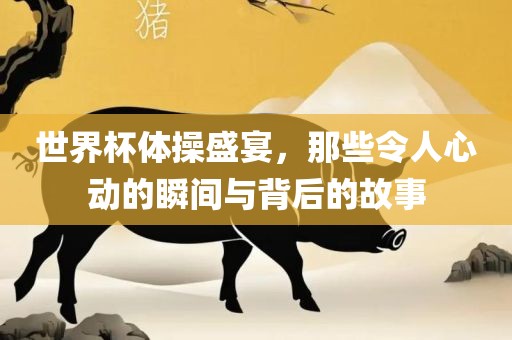 世界杯体操盛宴,那些令人心动的瞬间与背后的故事