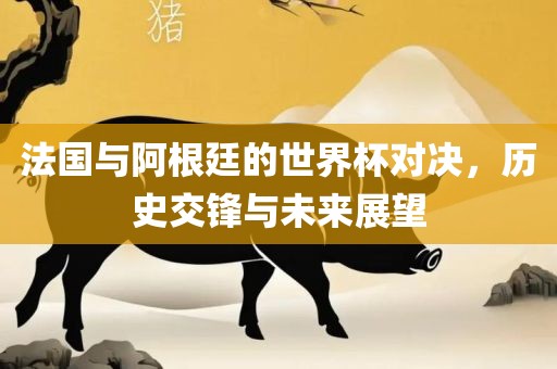 法国与阿根廷的世界杯对决,历史交锋与未来展望
