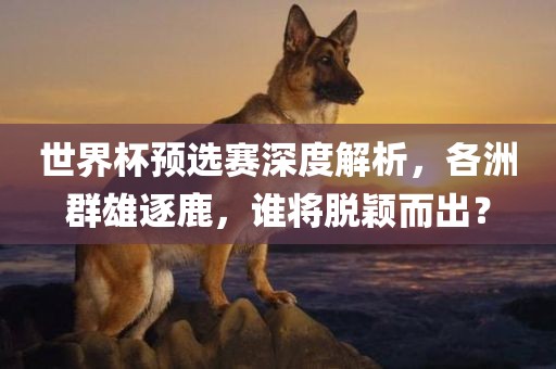 世界杯预选赛深度解析,各洲群雄逐鹿,谁将脱颖而出?永康市本千工贸有限公司